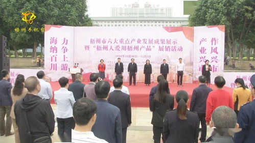 梧州六大重點(diǎn)產(chǎn)業(yè)成果閃耀，本土品牌展銷(xiāo)與文化交流共繪發(fā)展新篇